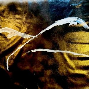 Oil/ mixed media “she”